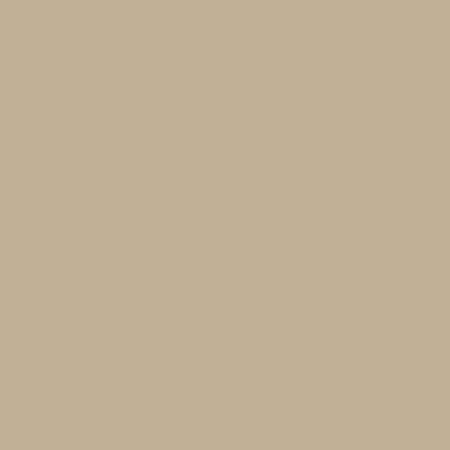 Desert Sand Color 9