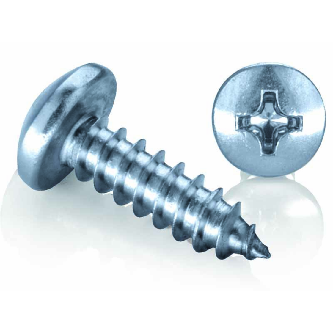 Zinc plated Steel Self Tapping Screws