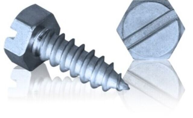 Professional Ancillaries: Duplex Self-Tapping Screws