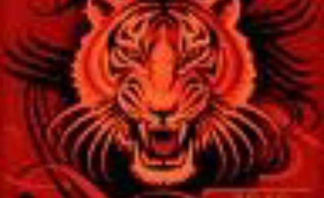 The year of the Tiger