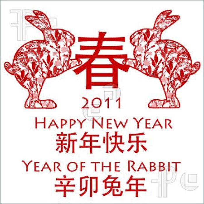 chinese-new-year-2011-color