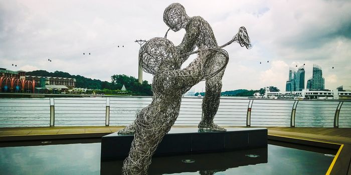 Stainless Steel Wire-sculpture