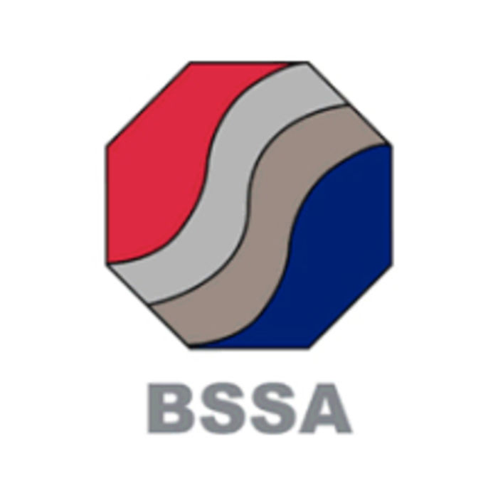 logo bssa